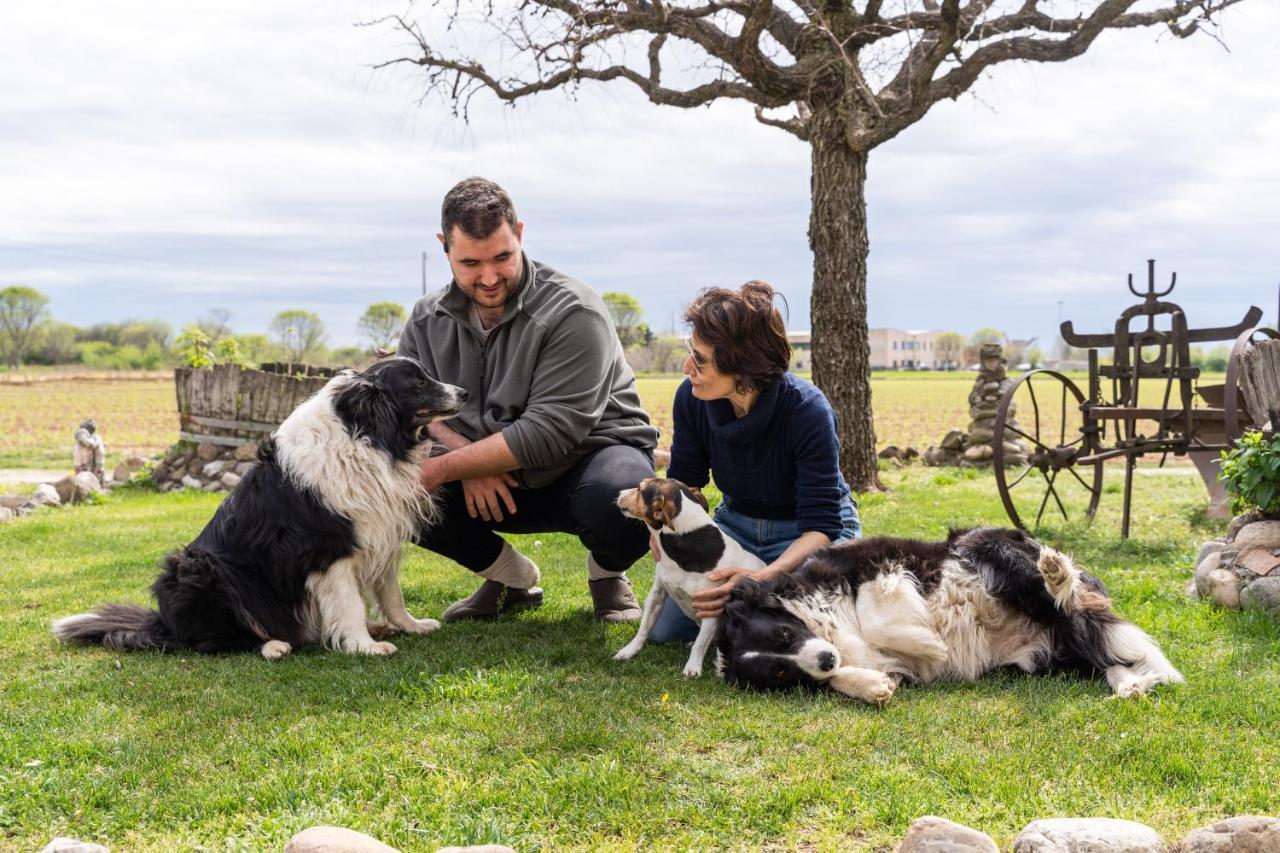 Agriturismo Pozzo Fiorito カスティリオーネ・デッレ・スティヴィエーレ エクステリア 写真
