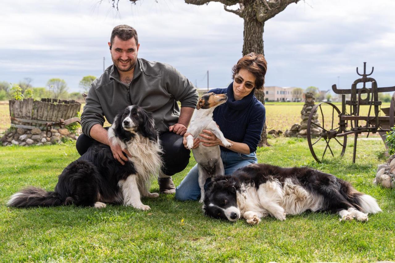 Agriturismo Pozzo Fiorito カスティリオーネ・デッレ・スティヴィエーレ エクステリア 写真